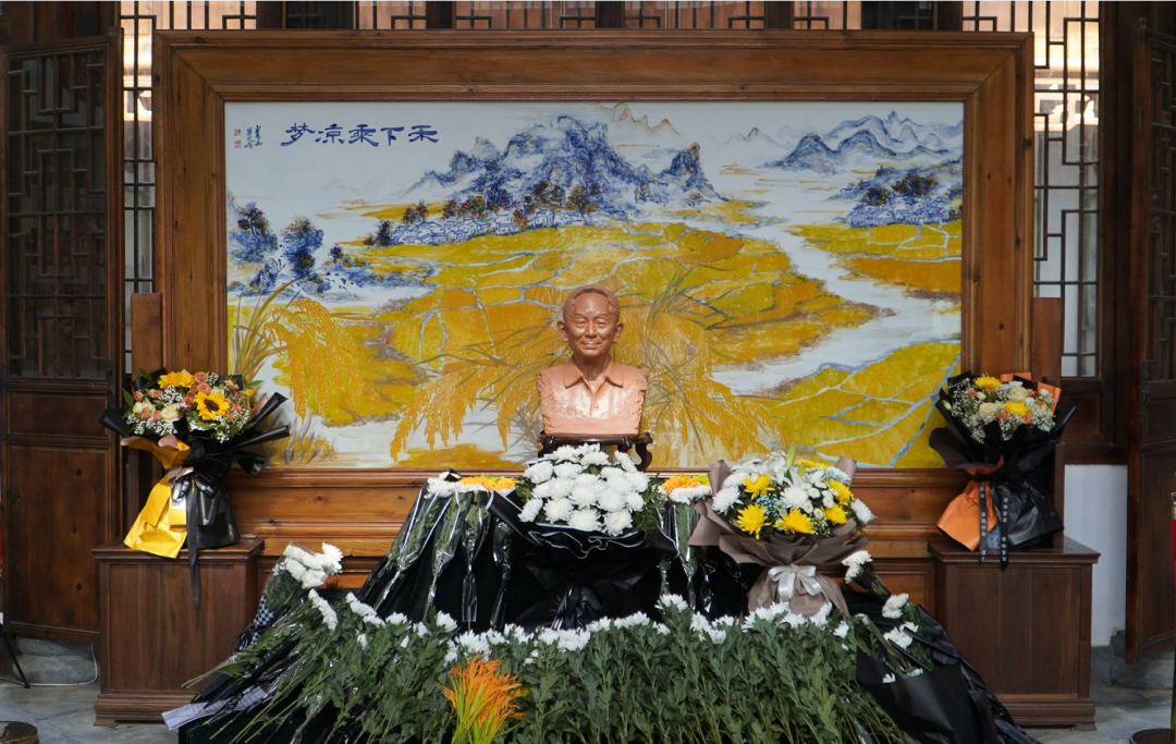 我县开展袁隆平院士逝世一周年纪念活动